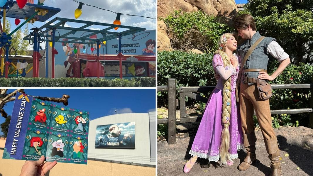 Lightning Lane Premier Pass Sells Out at Walt Disney World & More: Daily Recap (2/14/25)