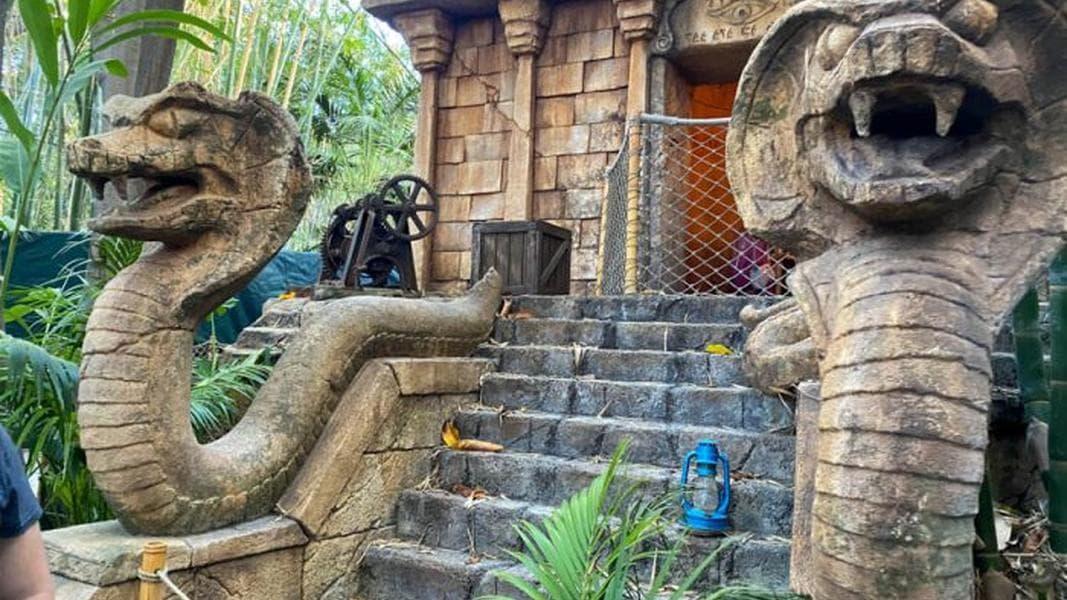 Best Disneyland Rides for 2025