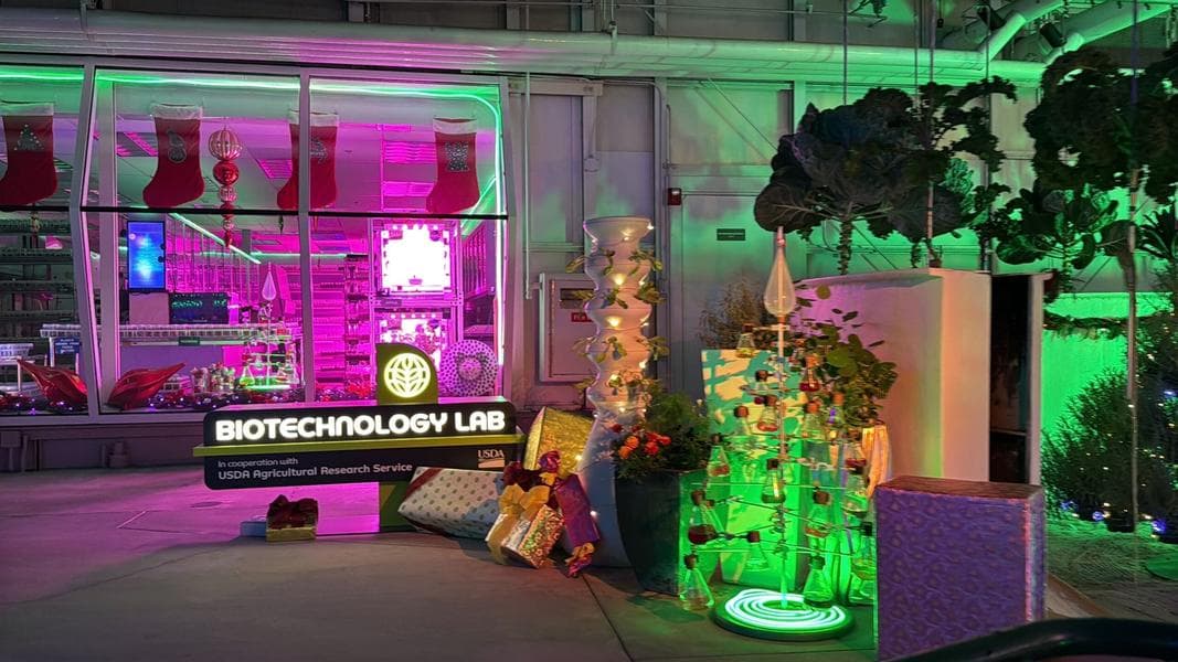 Behind the Scenes Video at Living with the Land – Glimmering Greenhouses