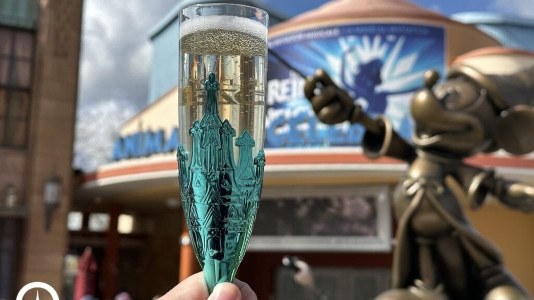 New World of Frozen & Sleeping Beauty Castle Champagne Flutes at Disneyland Paris
