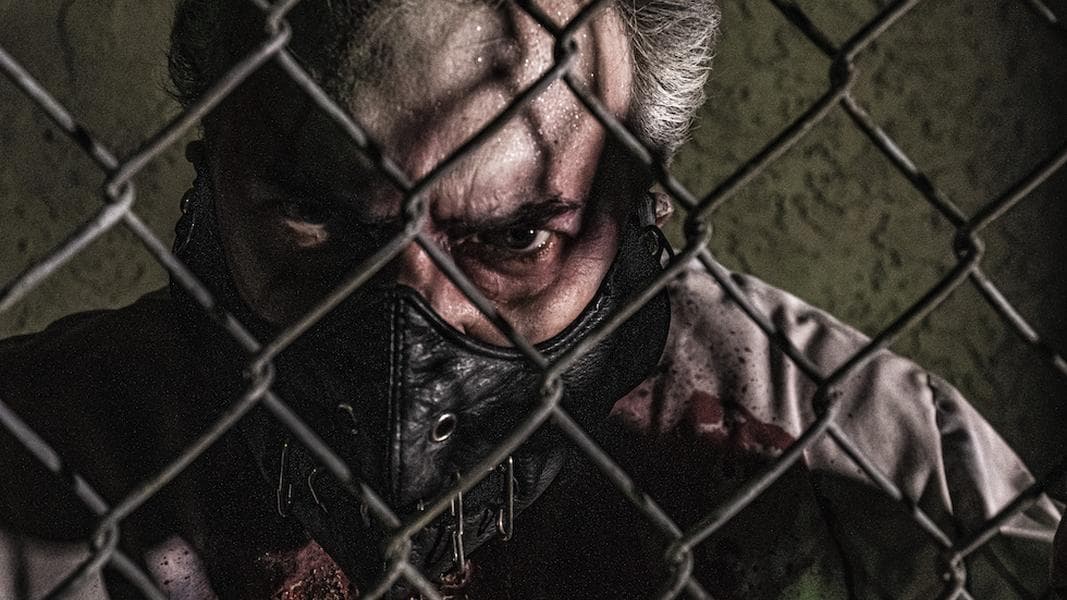 Howl-O-Scream at Busch Gardens Tampa to have ten scare zones, limited capacity