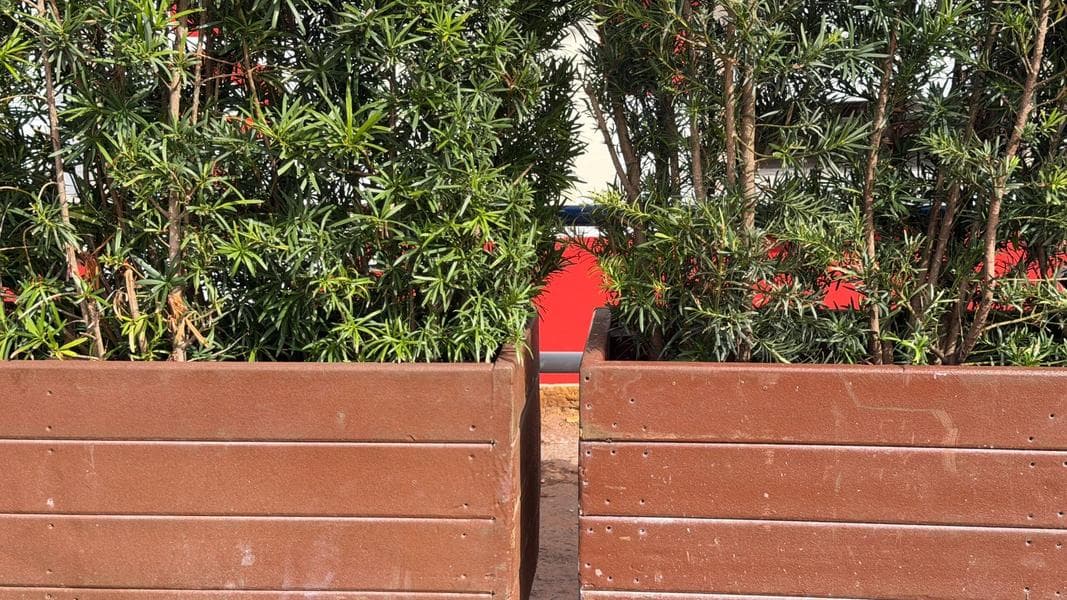 Queue Markers Added to New Toy Story Land Snack Kiosk