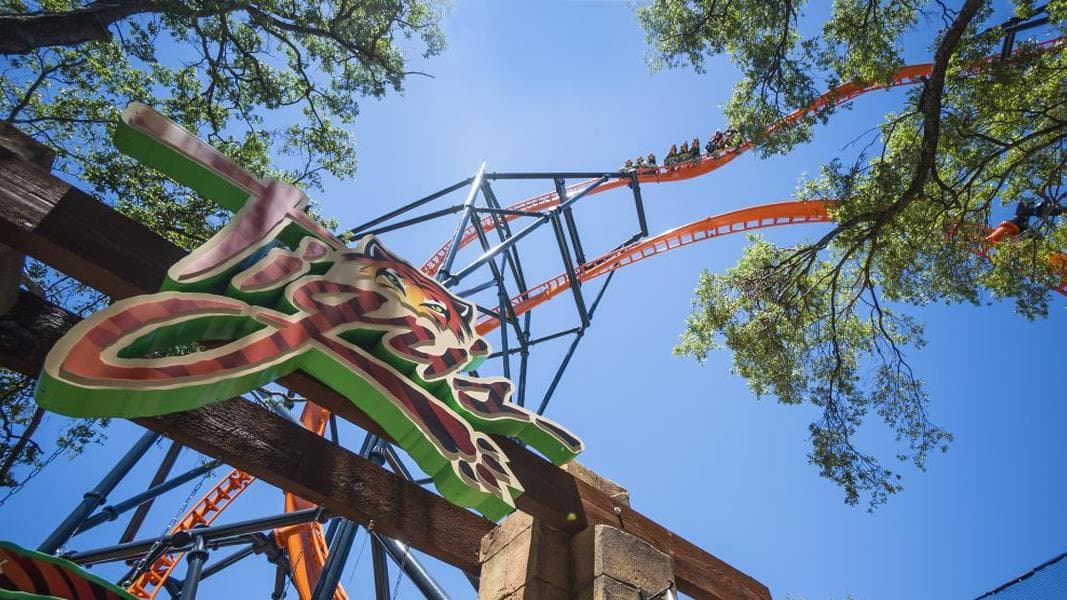 Tigris launch coaster now open at Busch Gardens Tampa Bay