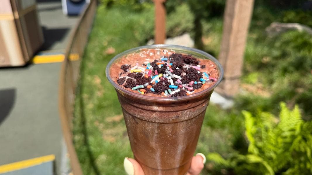 REVIEW: Bluey’s Mud Cake Cold Brew Drink at Disneyland Park