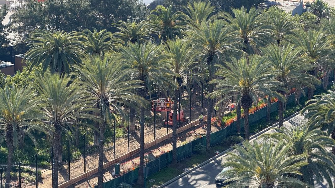 Perimeter Fence Panels Going Up Around ‘Coco’ Ride at Disneyland Resort