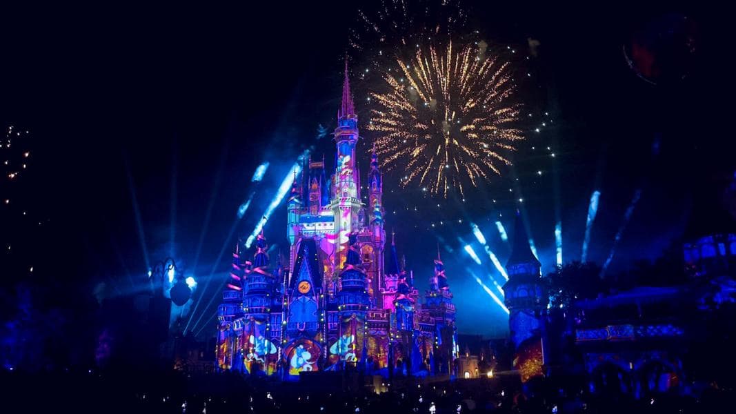 Guest Knocks Down Disney Cast Member in Fireworks Crowds, Is Held Down by Good Samaritan