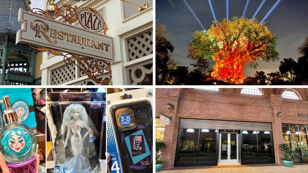 Walt Disney World and Disneyland to Launch Updated System for Finding Dining Reservations, Tree of Life Awakenings Reportedly Returning, & More: Daily Recap (8/2/23)