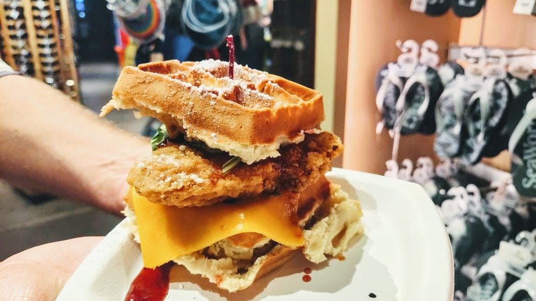 SeaWorld Orlando Christmas Celebration 2024 guide with food reviews