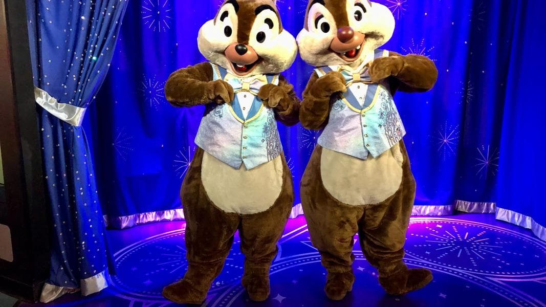 PHOTOS: Chip ‘n’ Dale Meet Annual Passholders in 50th Anniversary Costumes
