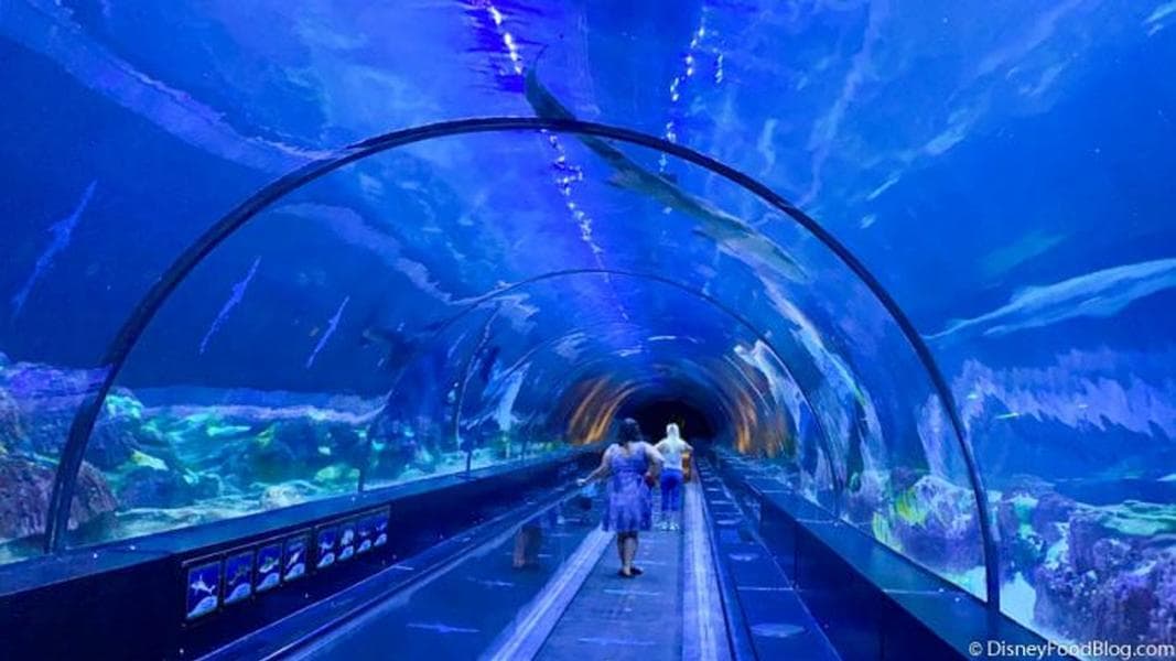 And the Award for the BEST Theme Park in the U.S. Goes to… (Spoiler: It’s NOT Disney World)