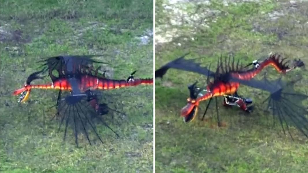 One Week After Opening, Flying Dragon Drones Nowhere to Be Seen at Epic Universe