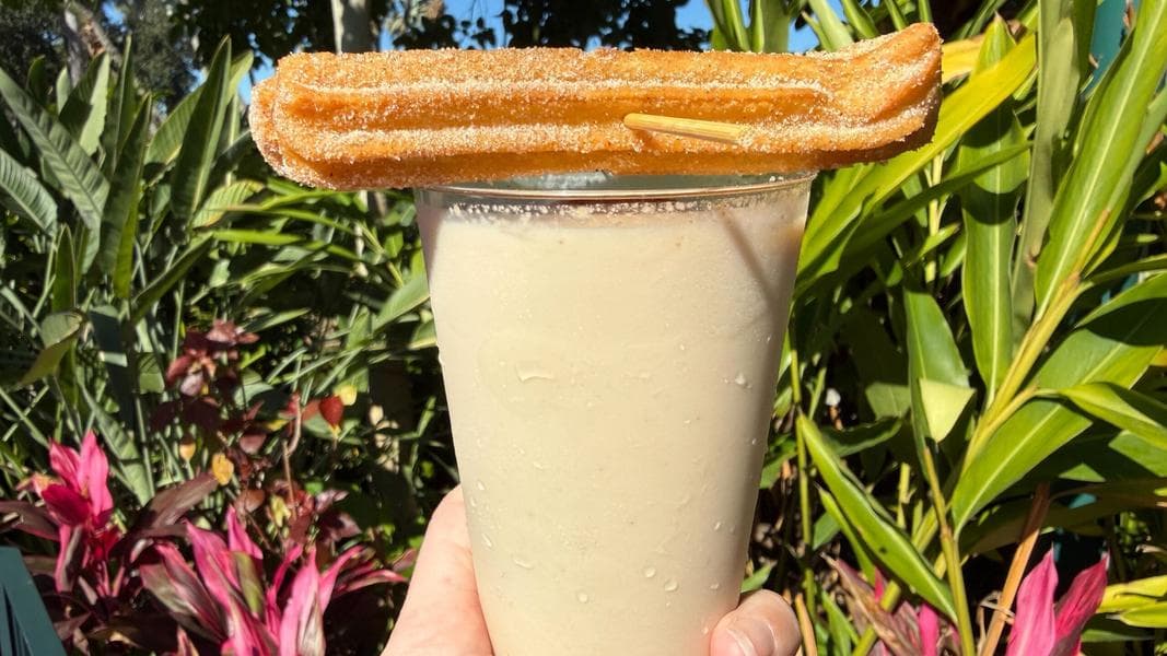 The Churro Margarita at La Cantina de San Angel in EPCOT is Boozy Smoky Perfection