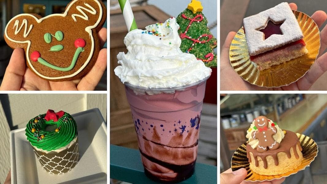 All the Christmas Food and Drinks You Can Have at Disney’s Hollywood Studios (With Reviews)
