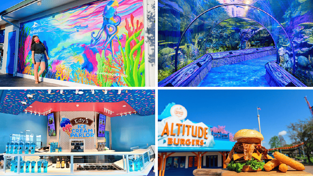 3 big changes for SeaWorld Orlando in 2021