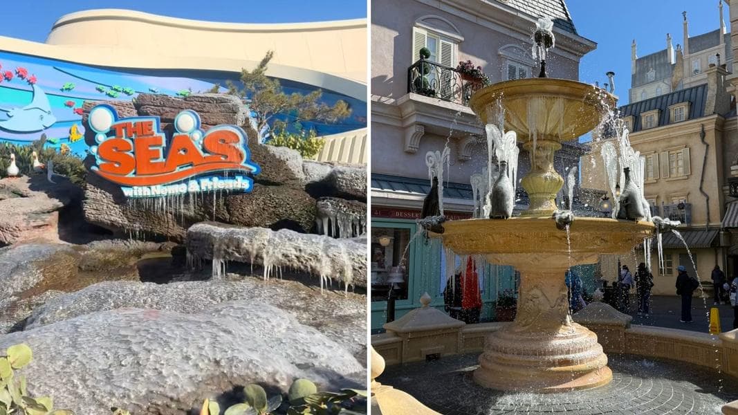 Water Features at Disney World & Universal Orlando Literally Freeze During Rare Cold Weather