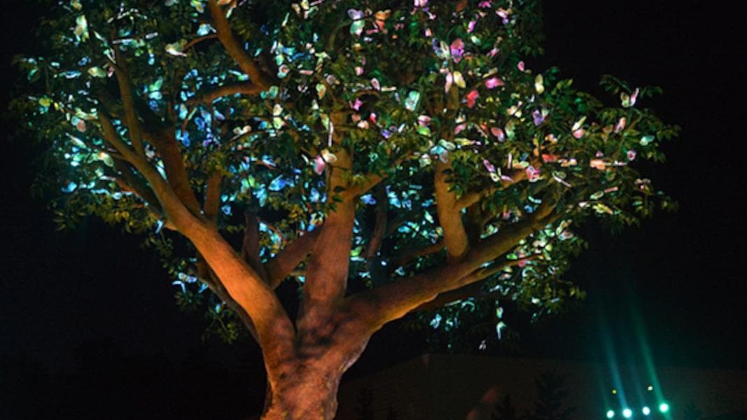 Rumor: Is Dollywood’s new ride for 2026 a rocking-boat system?