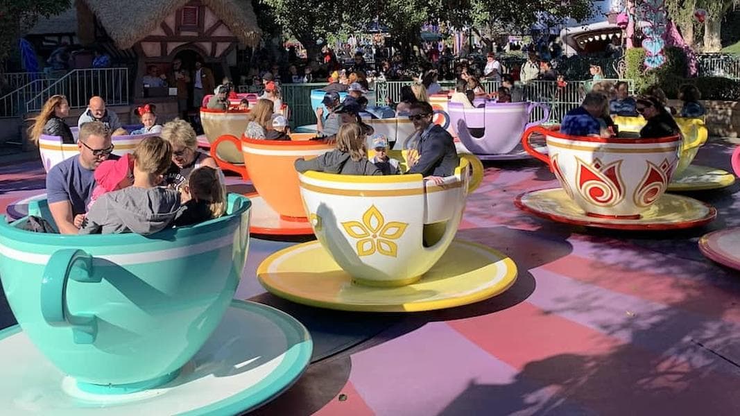 What are the most popular rides at Disney?