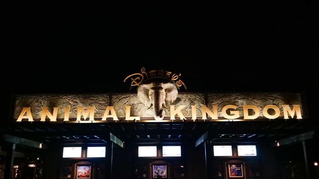 Extended Evening Hours Moving From Magic Kingdom to Animal Kingdom Later This Summer