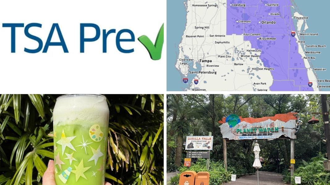 Global Entry and TSA PreCheck Quickly Reinstated After Suspension Announcement in Today’s Daily Recap for 2/22/2026