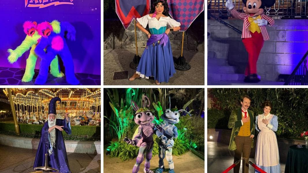 Nostalgic Character Meet and Greets at Disneyland After Dark: 70 Years of Favorites