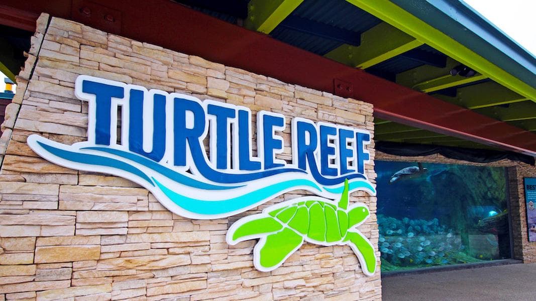 Turtle Reef habitat, two new rides now open at SeaWorld San Antonio