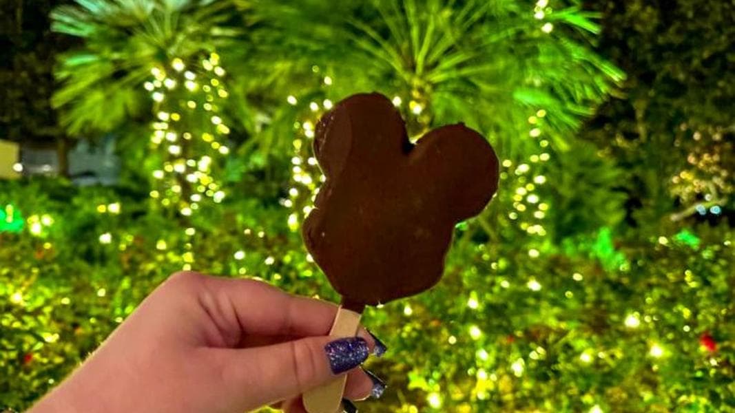 Disney Announces NEW Discounts For DVC Members