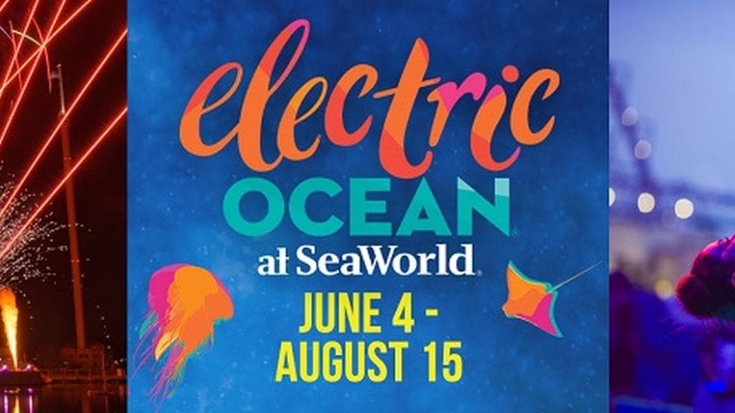 Electric Ocean brings summertime sizzle back to SeaWorld San Antonio