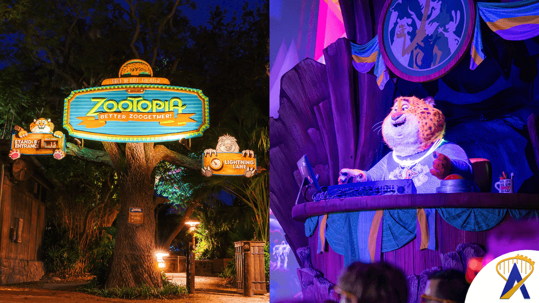‘Zootopia: Better Zoogether!’ at Disney’s Animal Kingdom | Inside the new show opening November 7