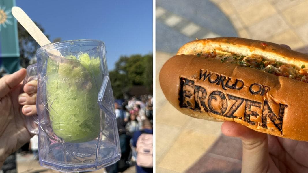 REVIEW: Mango Shaved Ice with Olaf & Forest Friends Stein, Weird Branded Sandwiches, & More from Forest Fare in World of Frozen