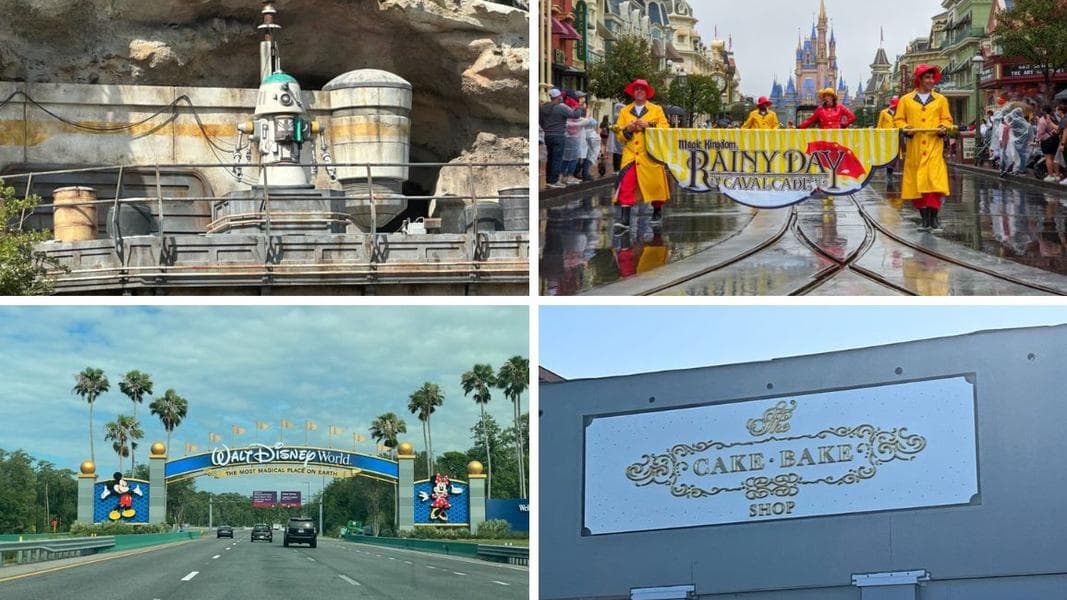 Central Florida Tourism Oversight District Considering Investment in Walt Disney World Roads & More: Daily Recap (5/24/24)