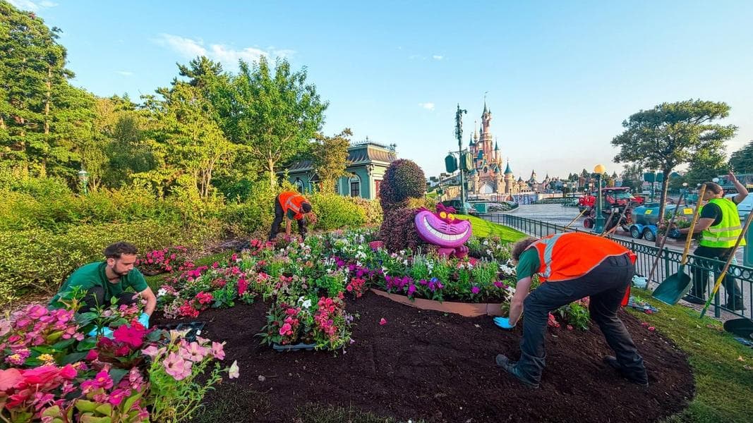 New topiaries coming to Central Plaza, replacing the Gardens of Wonders