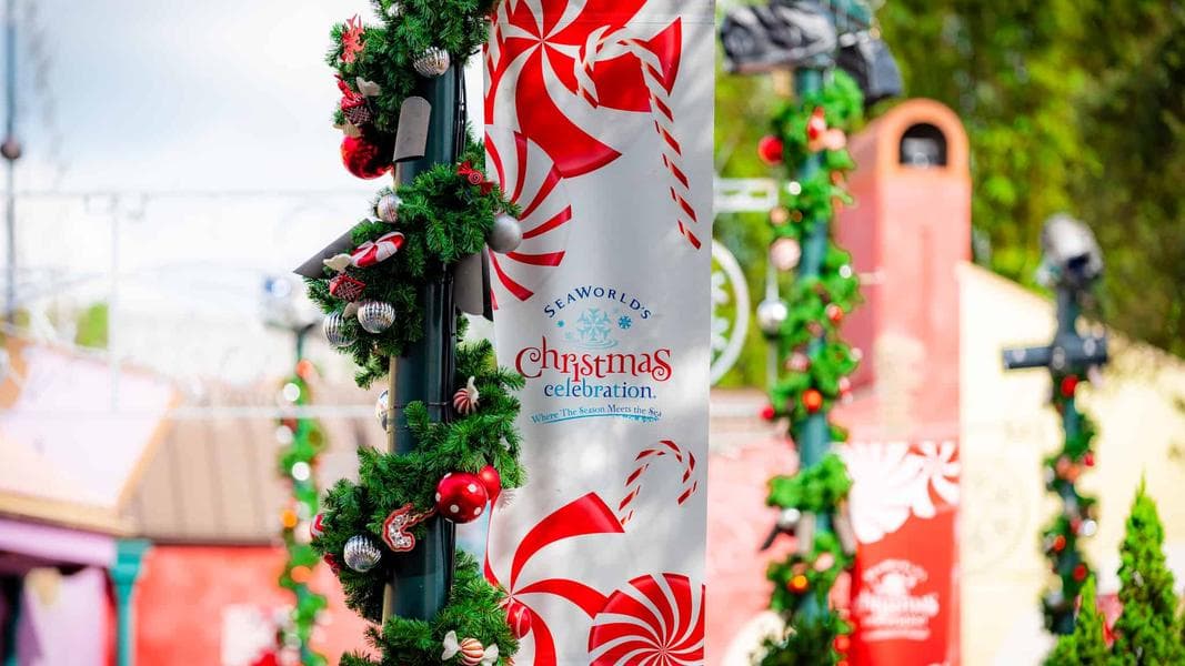 Ultimate Guide to Family Fun at SeaWorld Orlando’s Christmas Celebration