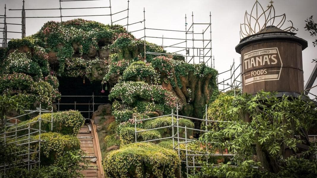 Photos: A year of construction progress at Tiana’s Bayou Adventure