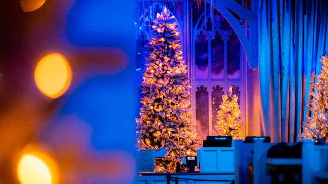 End of the Year Updates: Your Weekly Theme-Park Recap