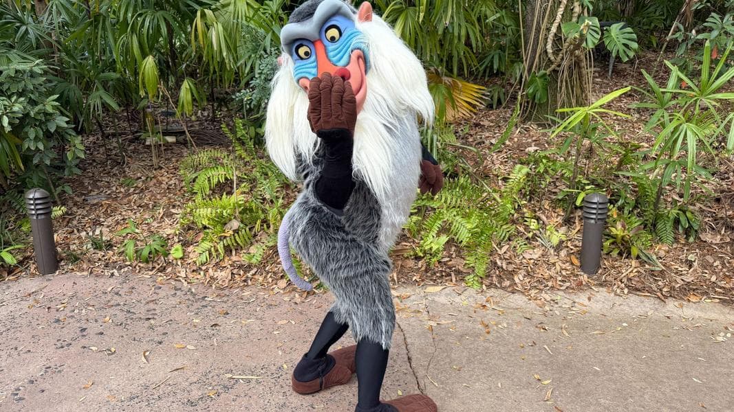 Timon and Rafiki Meeting in New Location at Disney’s Animal Kingdom