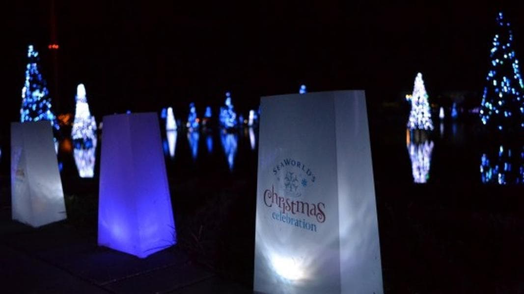 SeaWorld’s Christmas Celebration to return this holiday season