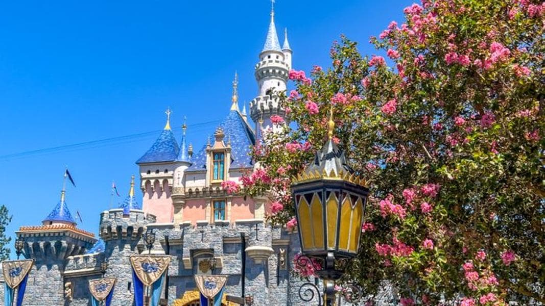 You Won’t BELIEVE Which Disney Celebrities We Just Saw!