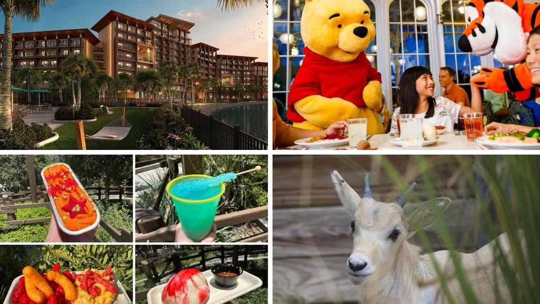 Official Name & Opening Window for DVC Tower at Disney’s Polynesian Village Resort & More: Daily Recap (5/10/24)