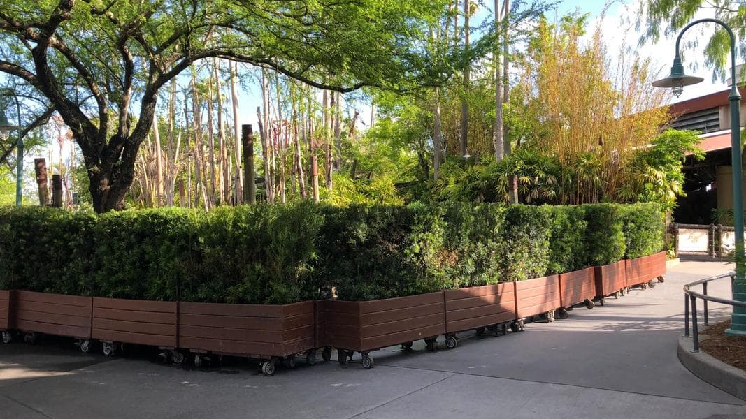 Pavement Demolished at Indiana Jones Stunt Show Exit in Disney’s Hollywood Studios