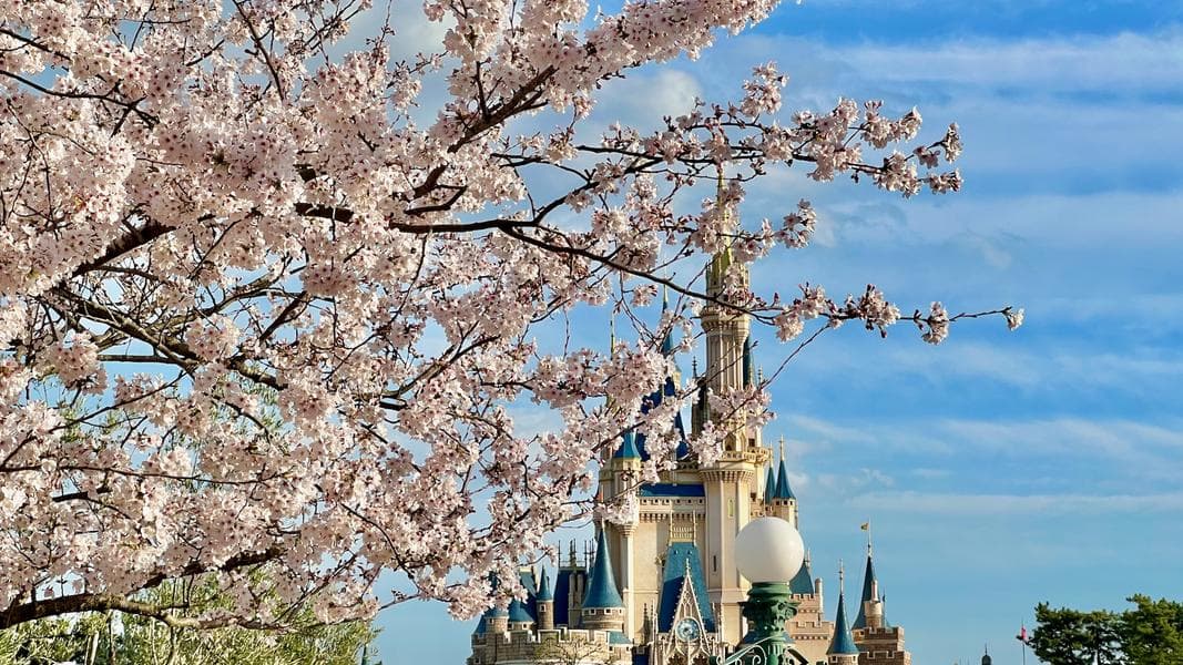 Tokyo Disney Resort Hit a Net Sales Record in FY25