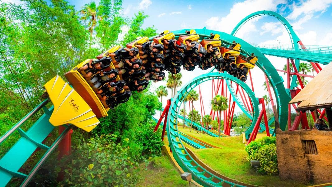 Ranking Every Busch Gardens Tampa Bay Roller Coaster