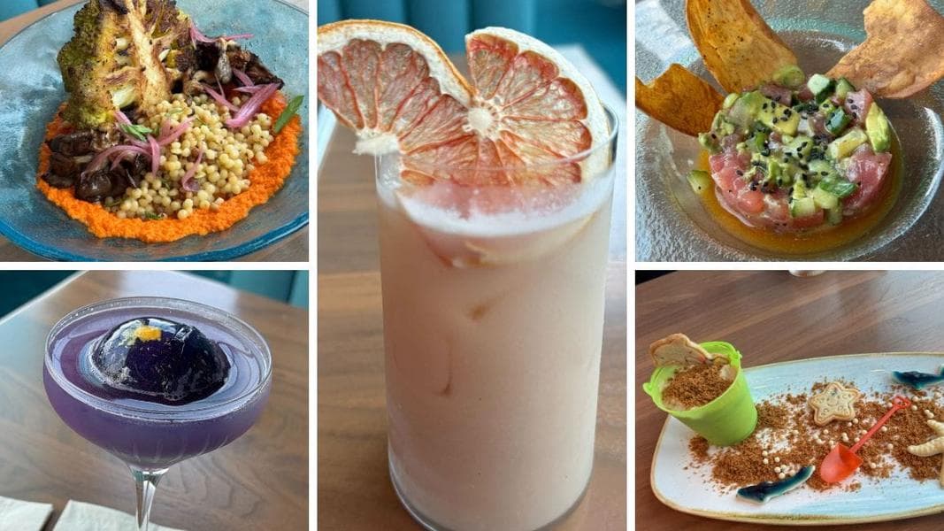 REVIEW: Dine In A Fish Tank at Atlantic, Epic Universe’s In-Park Table Service Restaurant