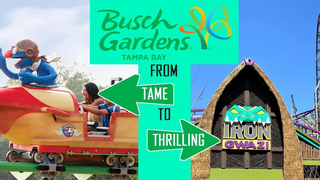 From Tame To Thrilling: Busch Gardens Tampa Bay