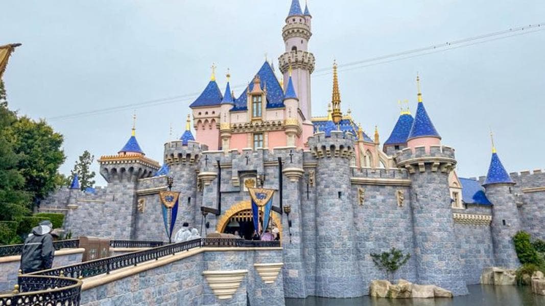 What’s It Like to Go to Disneyland ALONE?