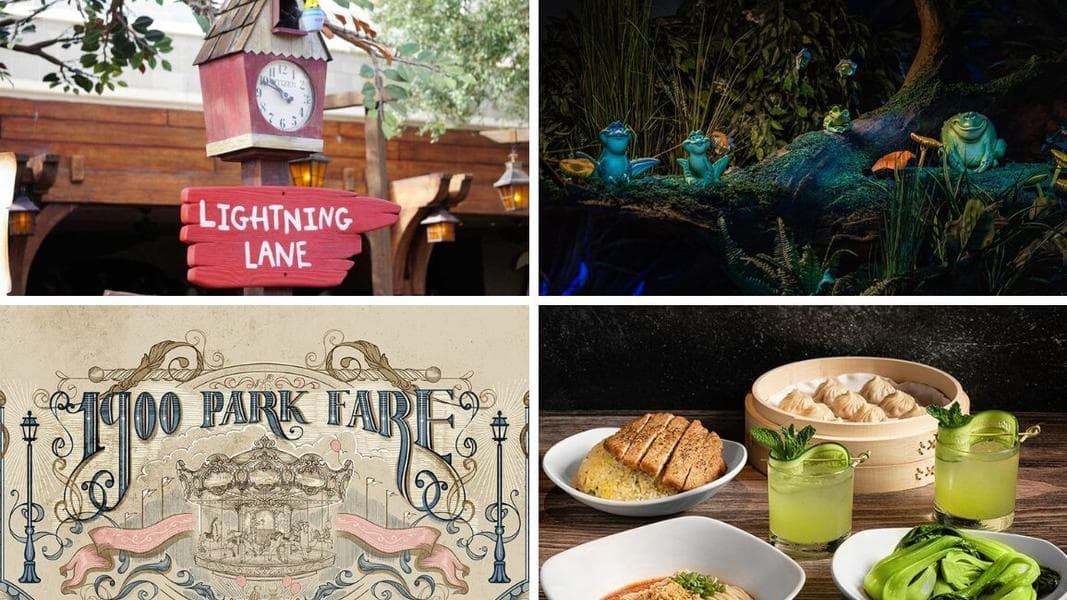 Disney Guests Who Lie to Get DAS Will be Permanently Banned & More: Daily Recap (4/10/24)