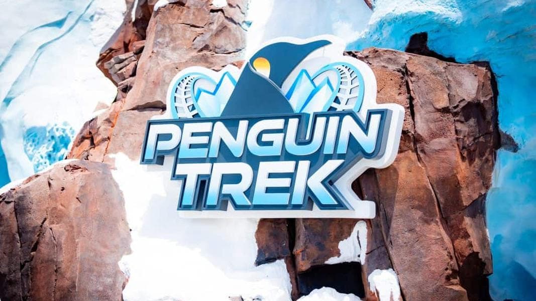 Penguin Trek at SeaWorld Orlando: An In-Depth Review