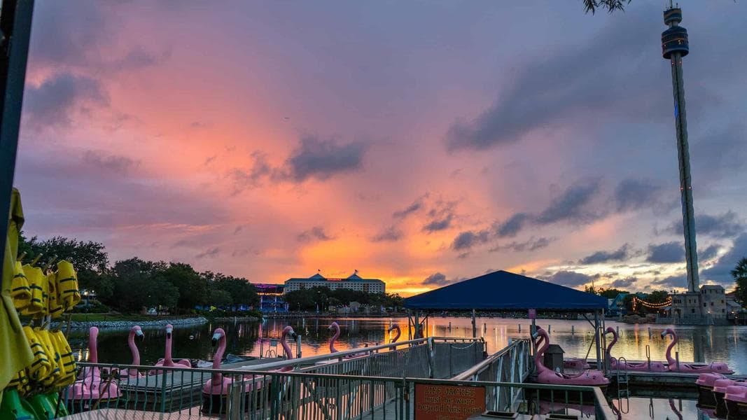 SeaWorld: What’s coming in 2019