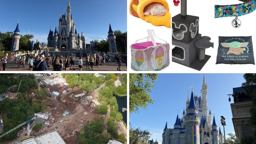 British Man Arrested for Pushing Teenage Girl in Line at Magic Kingdom Thrill Ride in Today’s Daily Recap for 4/11/2026