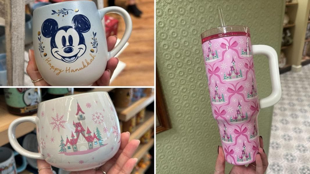 Pink Winter Castle Mug & Tumbler, Hanukkah Mug at Disney World
