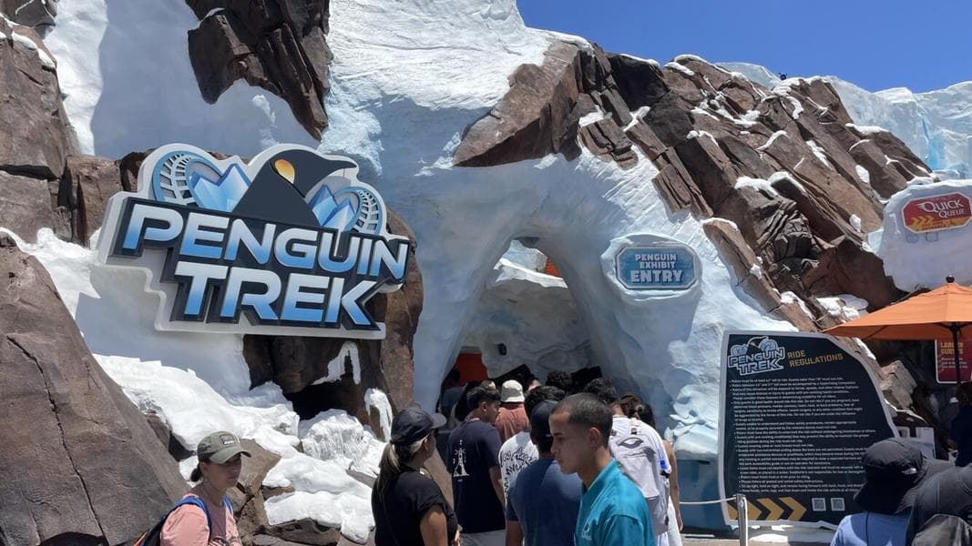Review: Penguin Trek at SeaWorld Orlando